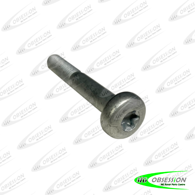 REAR TRAILING ARM BOLT (MG TF)
