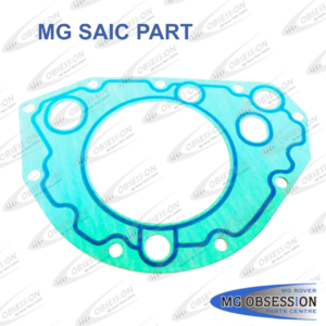 OIL PUMP GASKET - OE